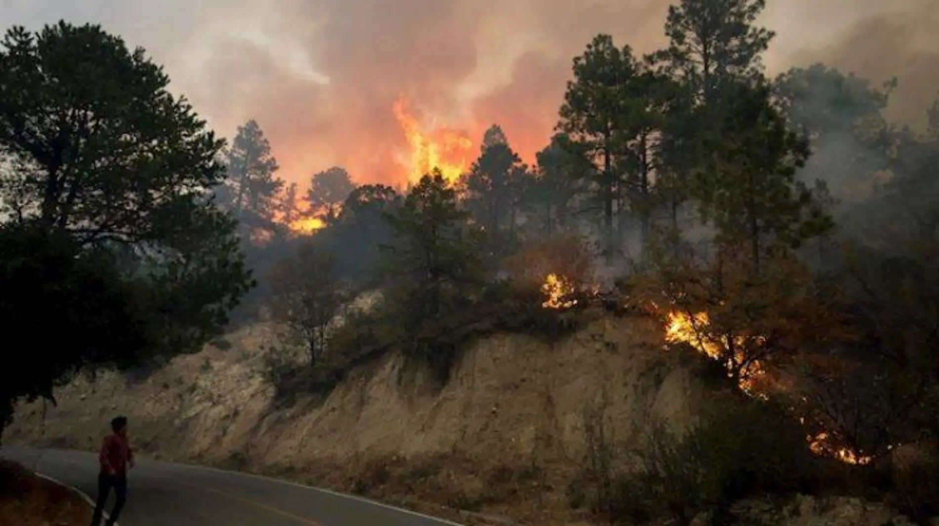 Incendio en Coahuila y Nuevo León (3)